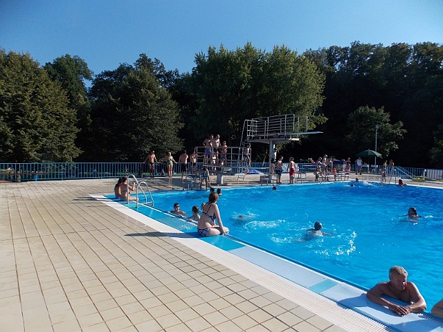 Bild (80)